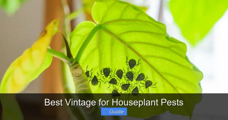 Best Vintage for Houseplant Pests