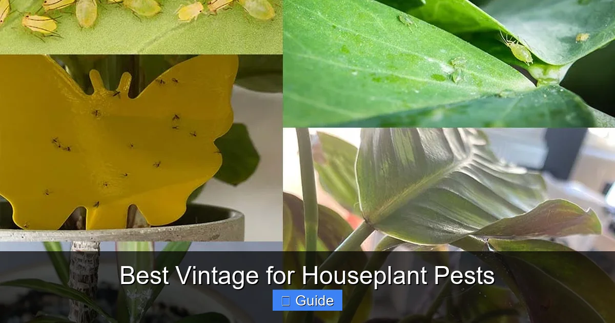 Best Vintage for Houseplant Pests