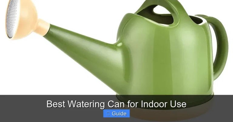 Best Watering Can for Indoor Use