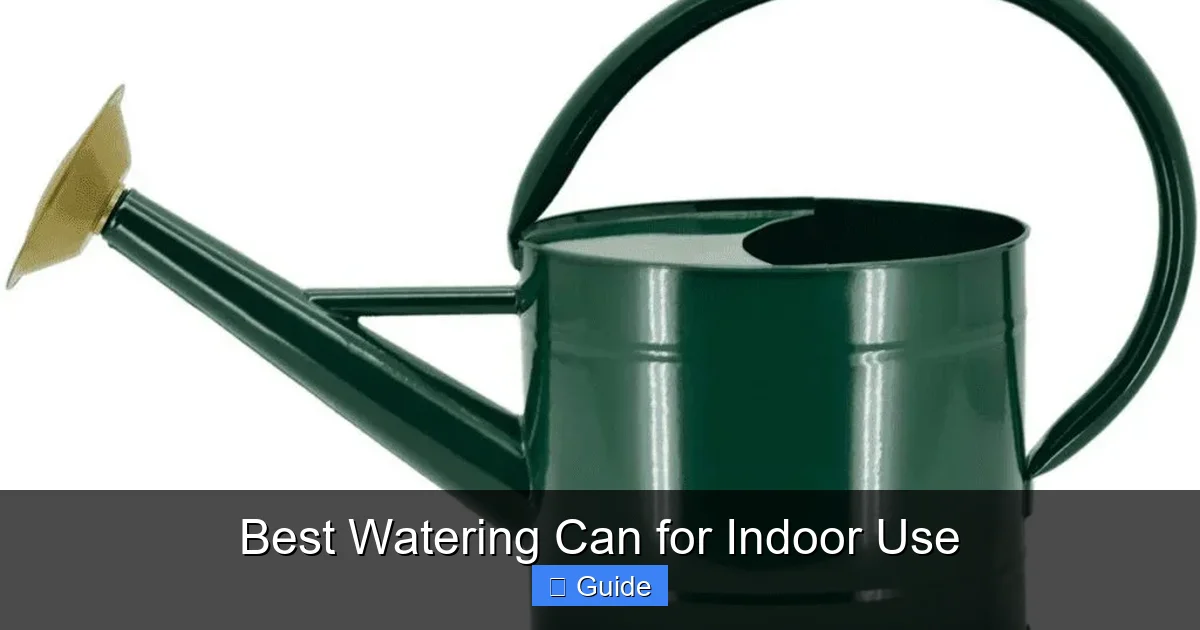 Best Watering Can for Indoor Use