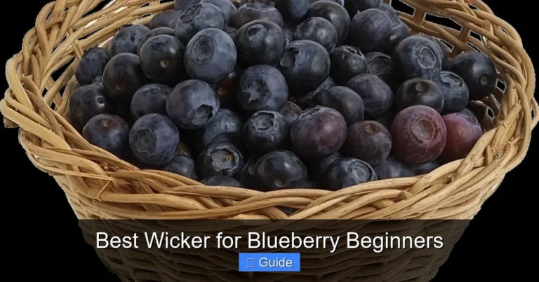 Best Wicker for Blueberry Beginners