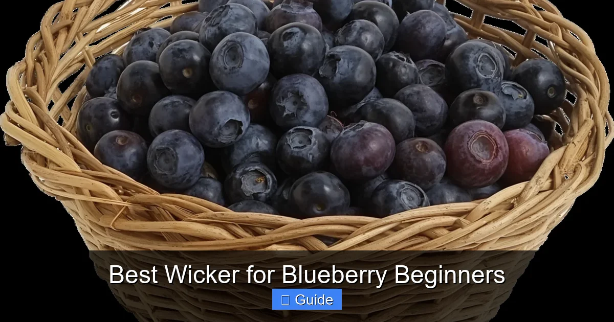 Best Wicker for Blueberry Beginners