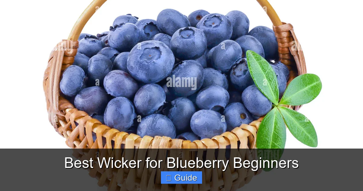 Best Wicker for Blueberry Beginners