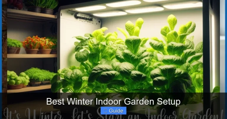 Best Winter Indoor Garden Setup