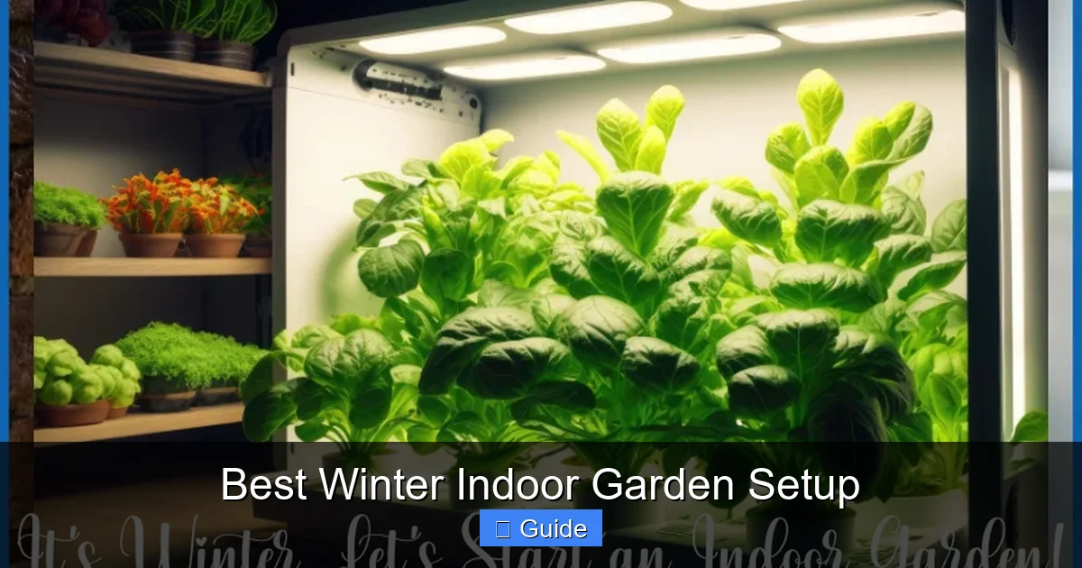 Best Winter Indoor Garden Setup