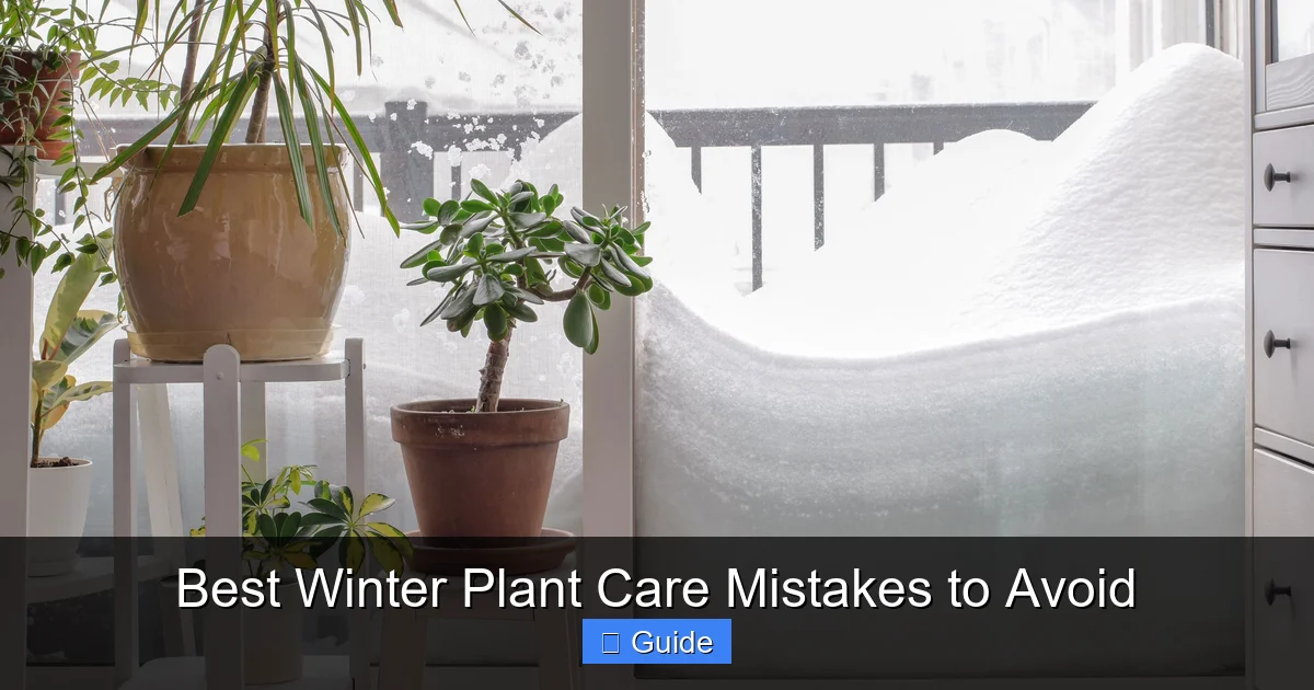 Best Winter Plant Care Mistakes to Avoid