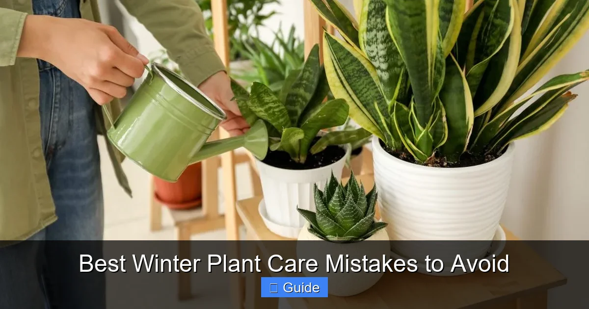 Best Winter Plant Care Mistakes to Avoid