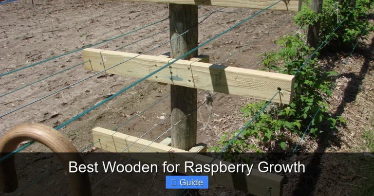Best Wooden for Raspberry Growth