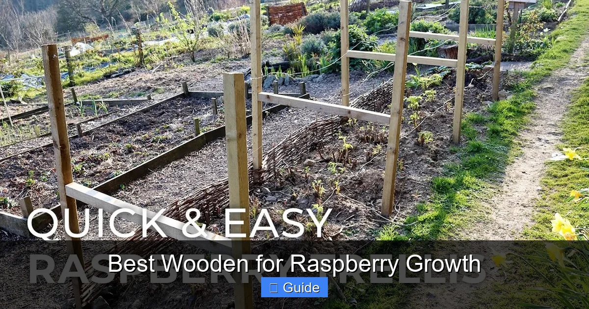 Best Wooden for Raspberry Growth