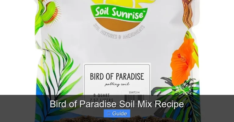 Bird of Paradise Soil Mix Recipe