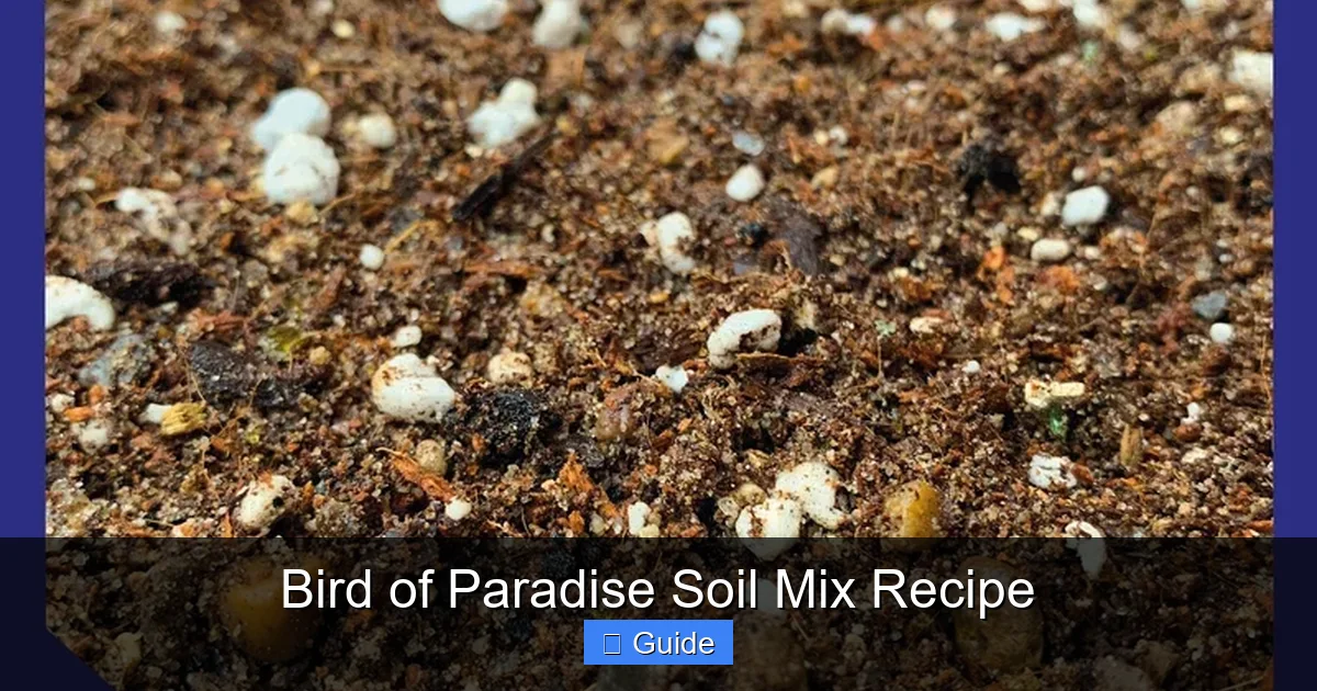 Bird of Paradise Soil Mix Recipe