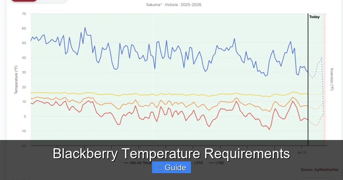 Blackberry Temperature Requirements