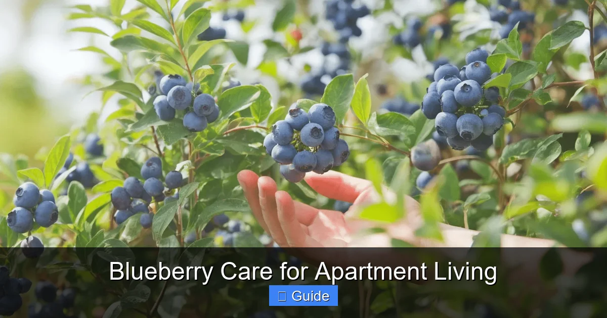 Blueberry Care for Apartment Living