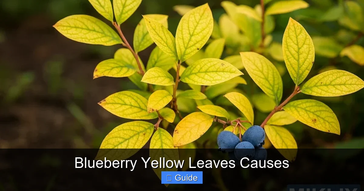 Blueberry Yellow Leaves Causes
