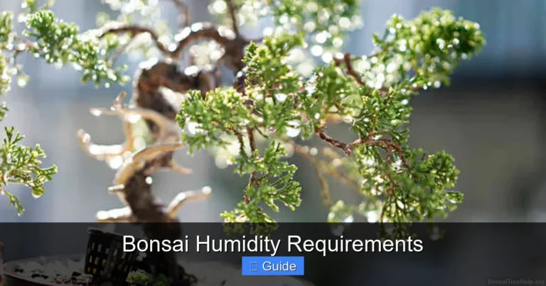 Bonsai Humidity Requirements