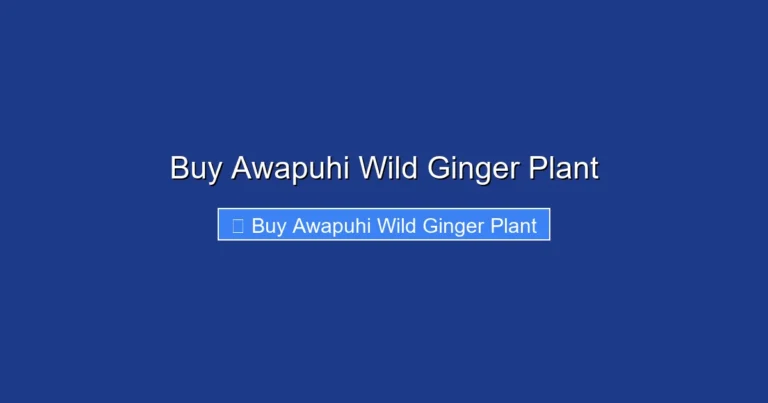 Buy Awapuhi Wild Ginger Plant