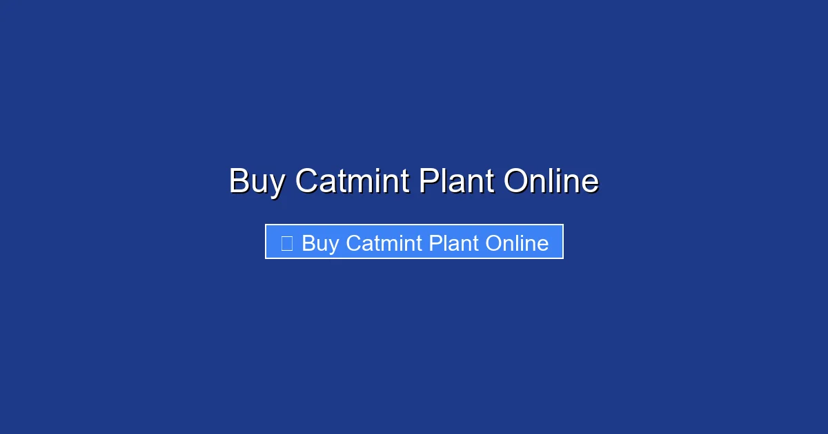 Buy Catmint Plant Online