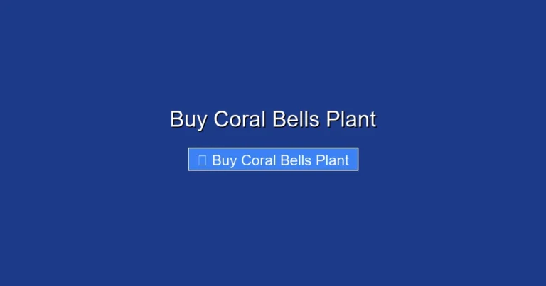 Buy Coral Bells Plant
