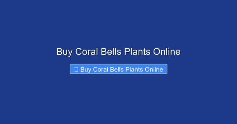 Buy Coral Bells Plants Online