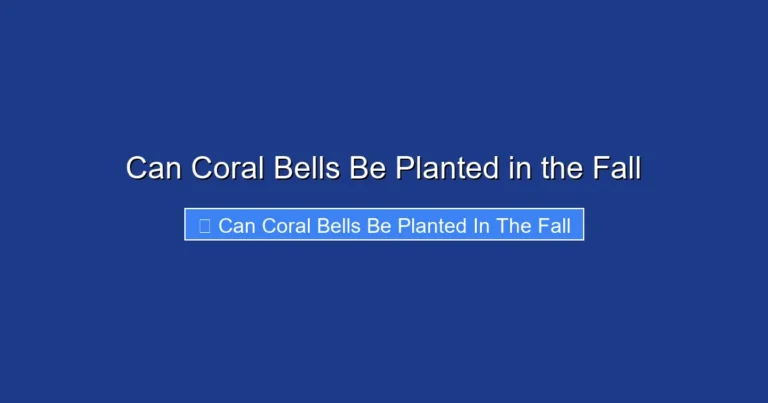 Can Coral Bells Be Planted in the Fall
