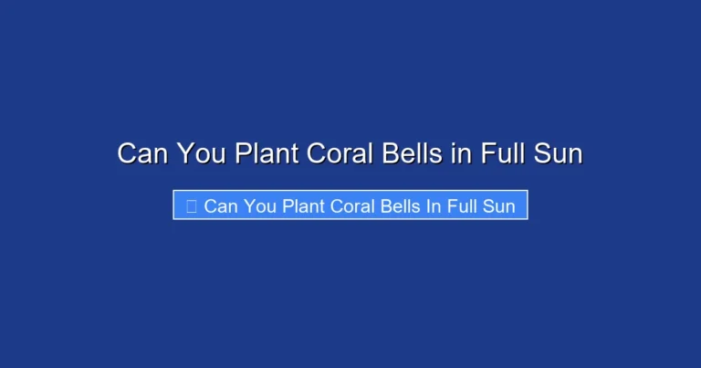 Can You Plant Coral Bells in Full Sun