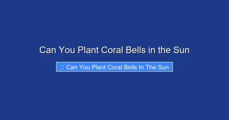 Can You Plant Coral Bells in the Sun