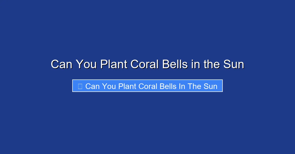 Can You Plant Coral Bells in the Sun