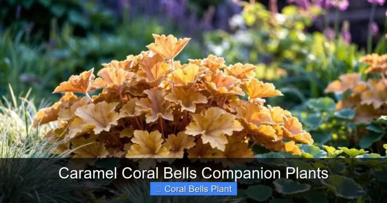 Caramel Coral Bells Companion Plants