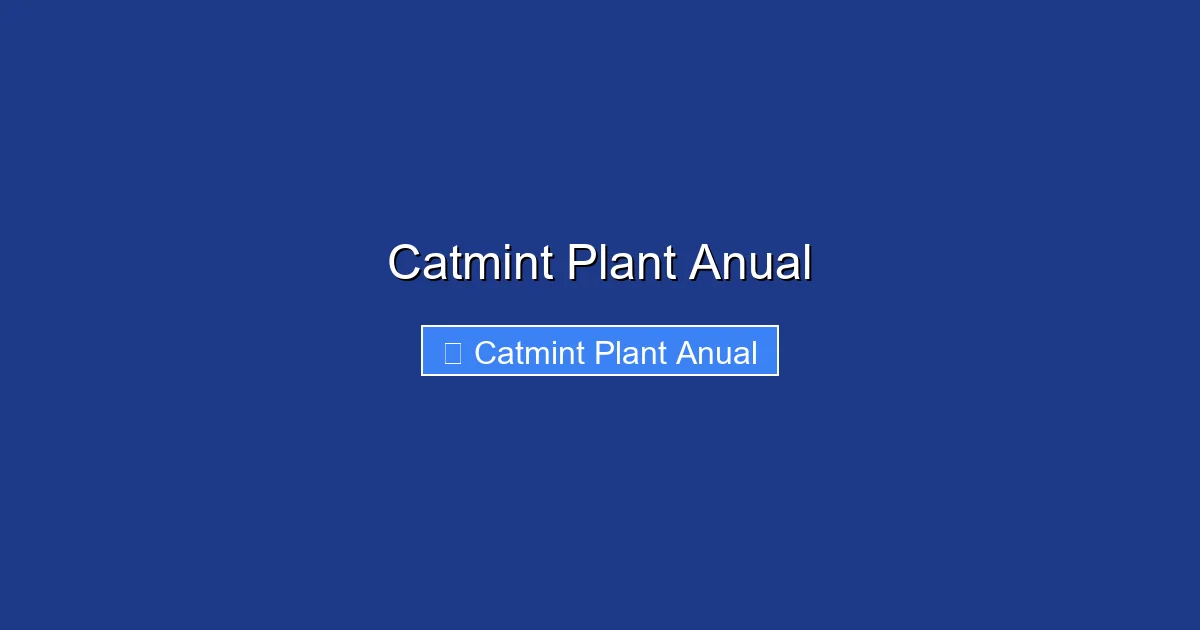Catmint Plant Anual
