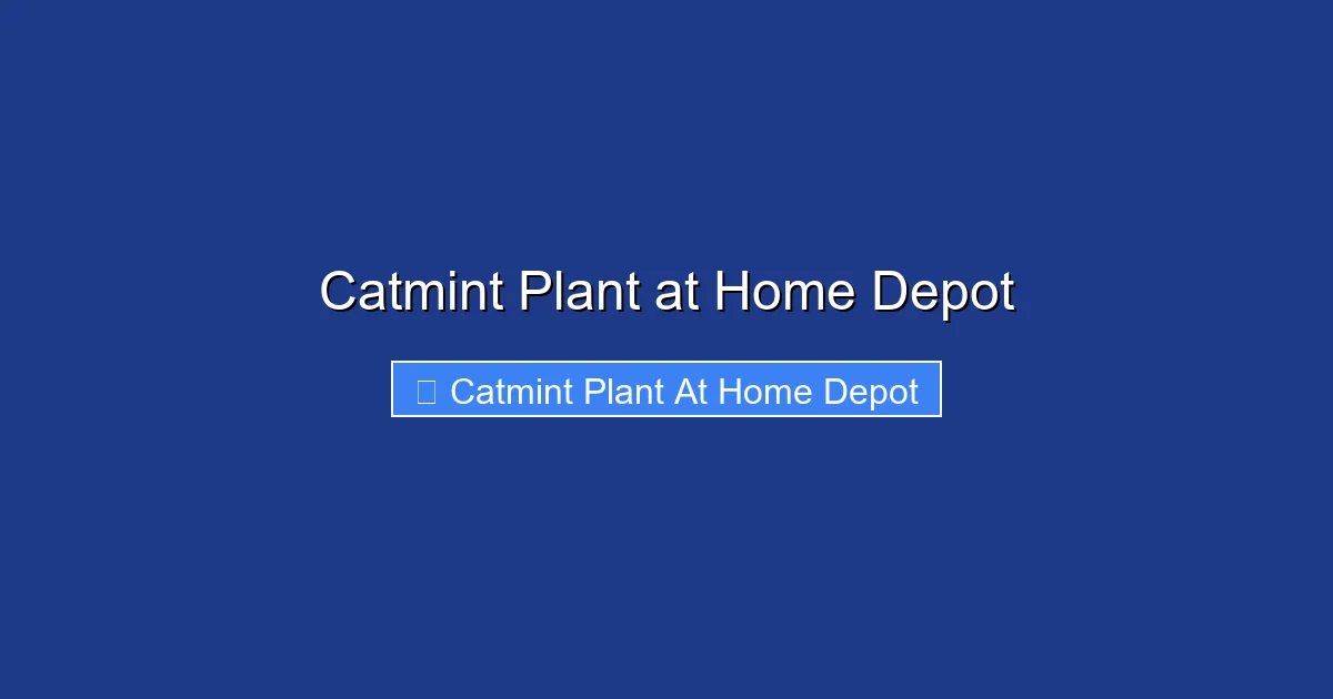 Catmint Plant at Home Depot