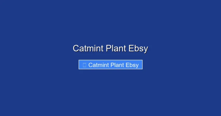 Catmint Plant Ebsy