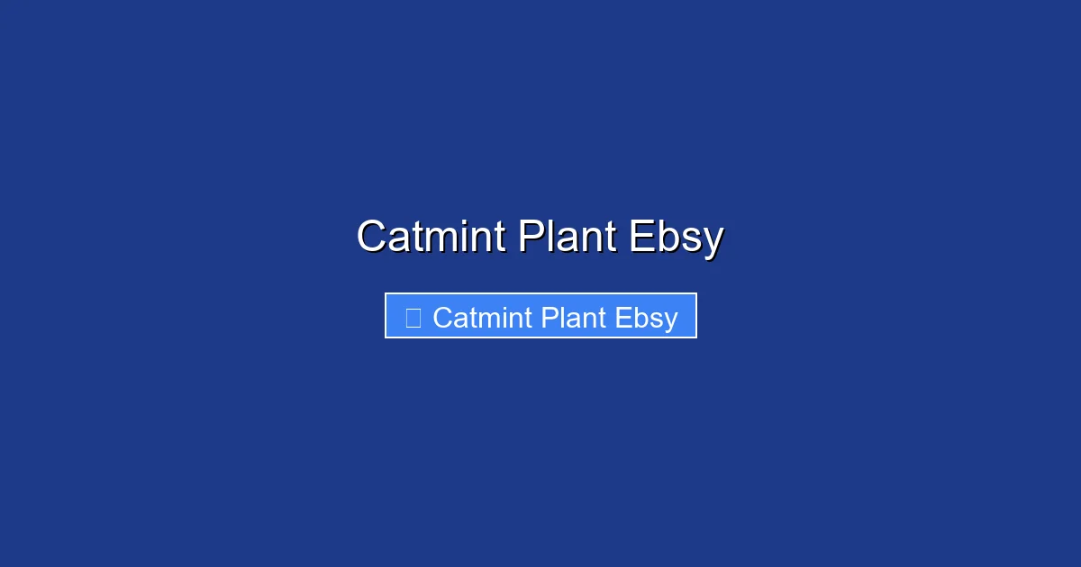 Catmint Plant Ebsy
