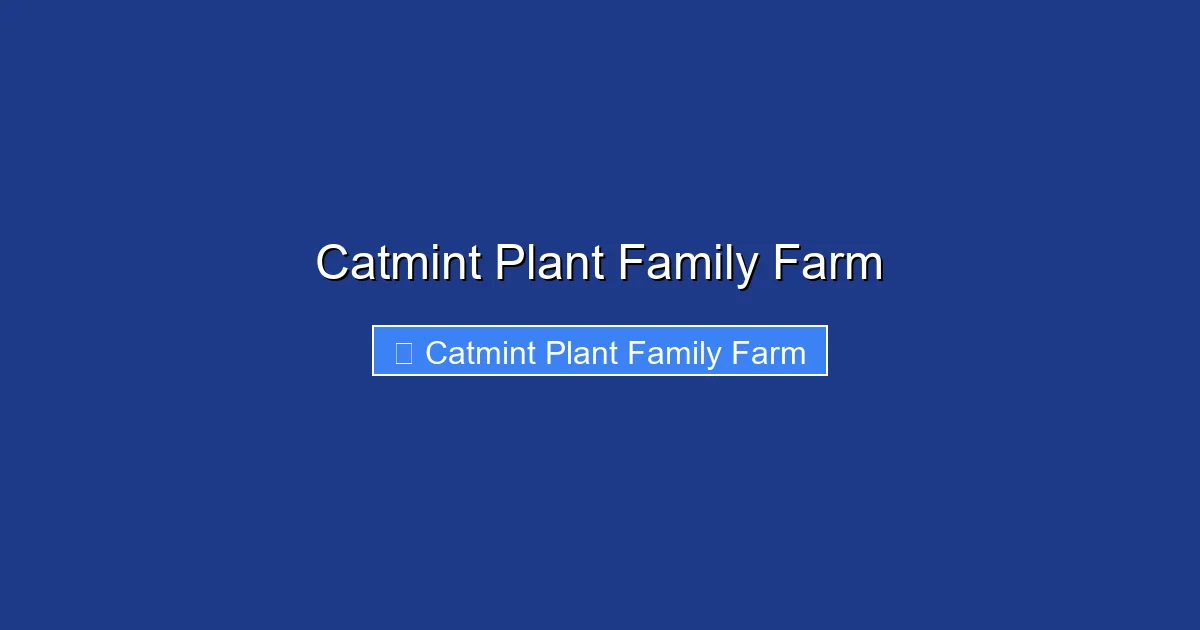 Catmint Plant Family Farm