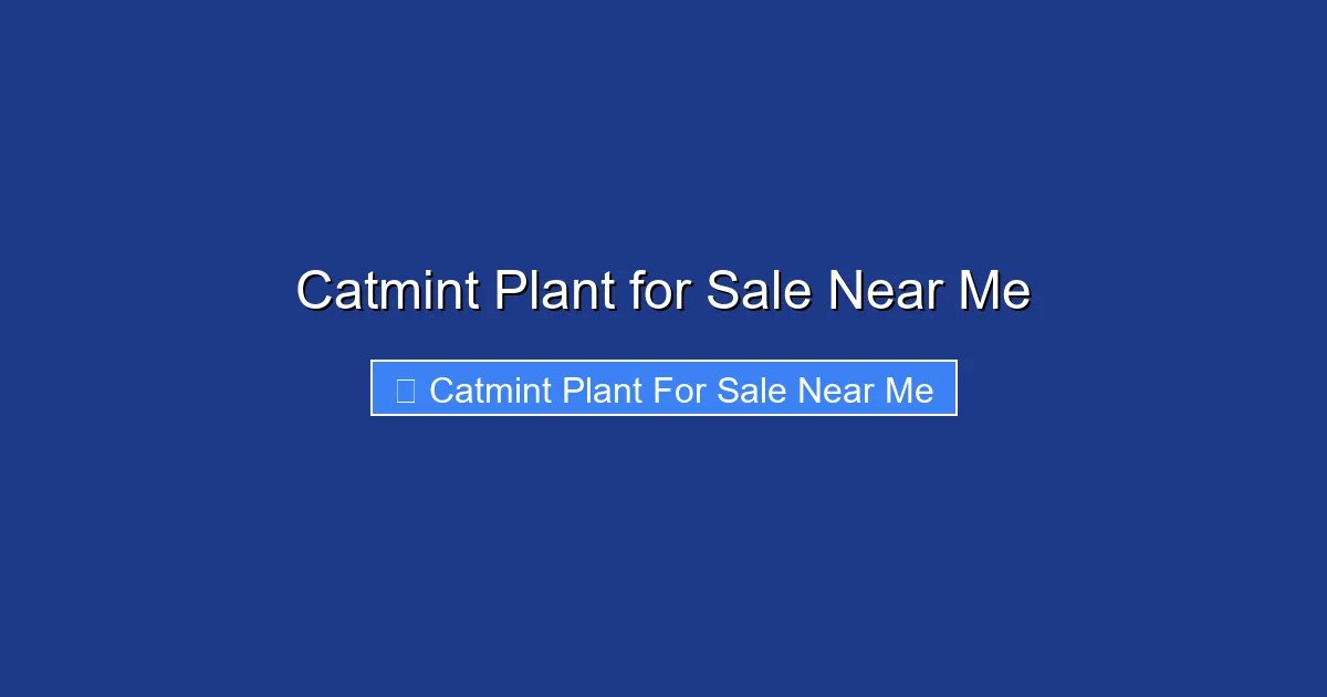 Catmint Plant for Sale Near Me