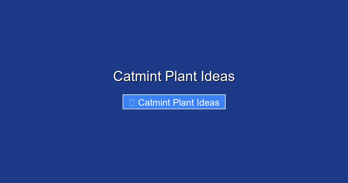 Catmint Plant Ideas