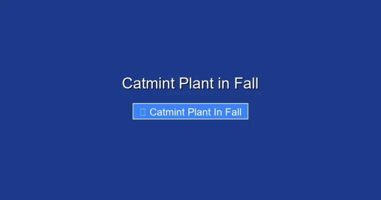 Catmint Plant in Fall