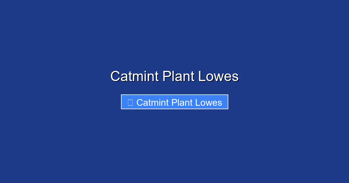 Catmint Plant Lowes