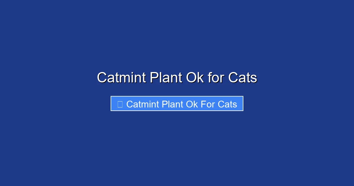 Catmint Plant Ok for Cats