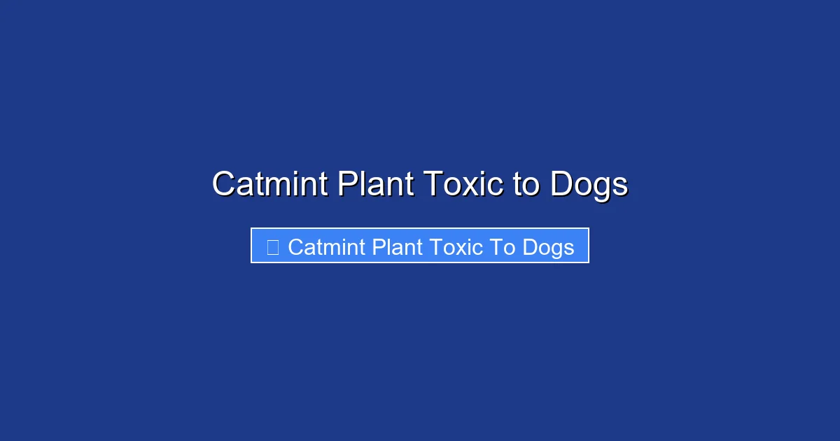 Catmint Plant Toxic to Dogs