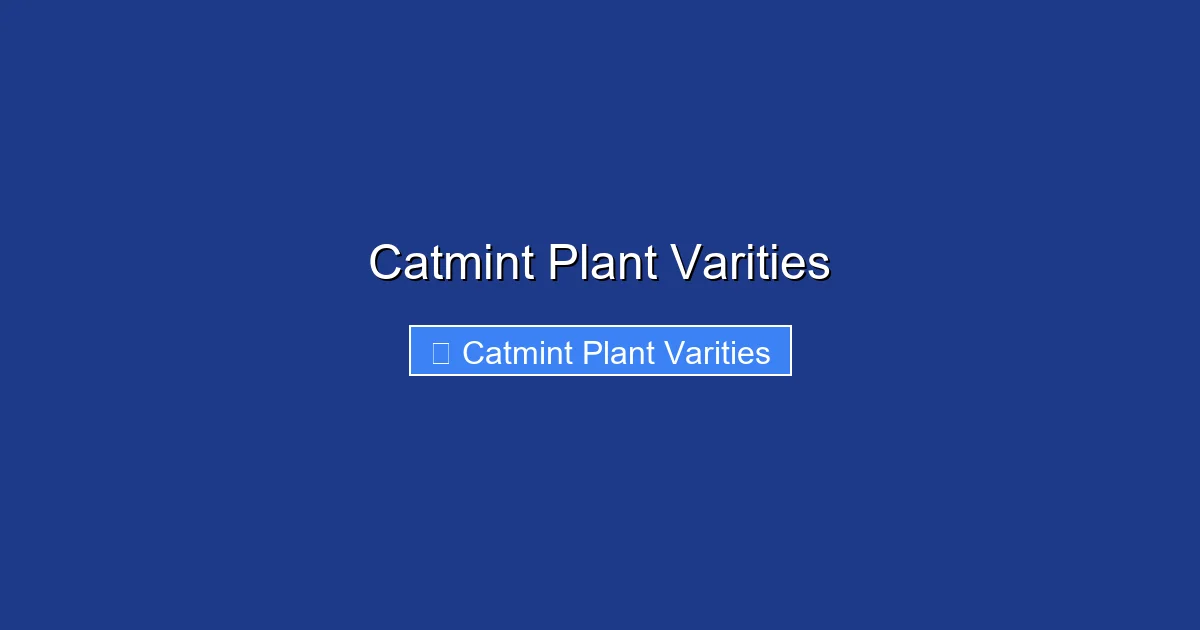 Catmint Plant Varities