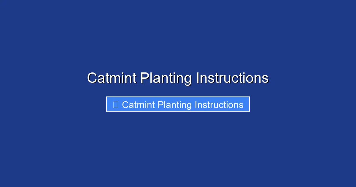 Catmint Planting Instructions