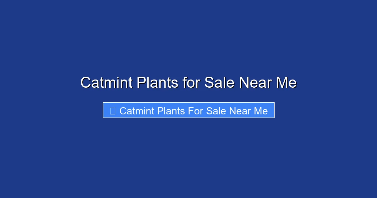 Catmint Plants for Sale Near Me
