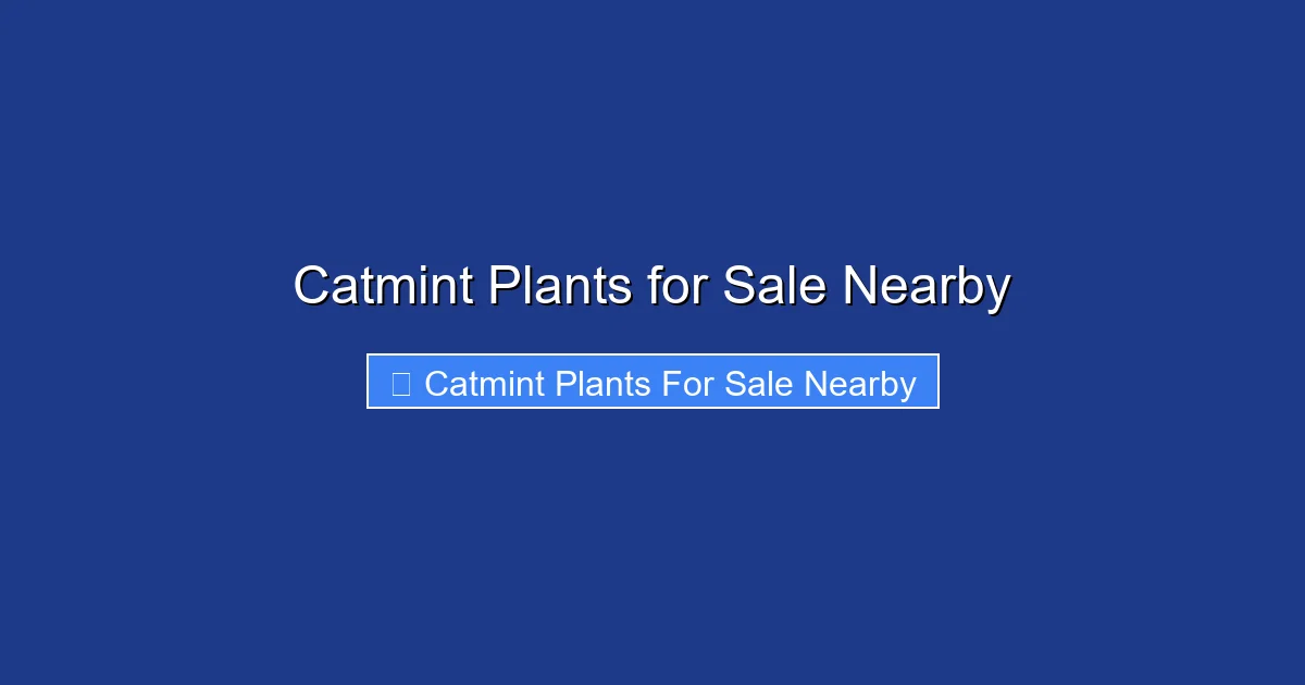 Catmint Plants for Sale Nearby