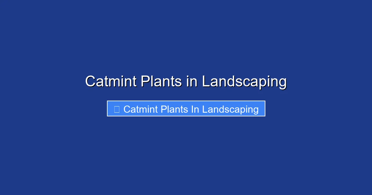 Catmint Plants in Landscaping