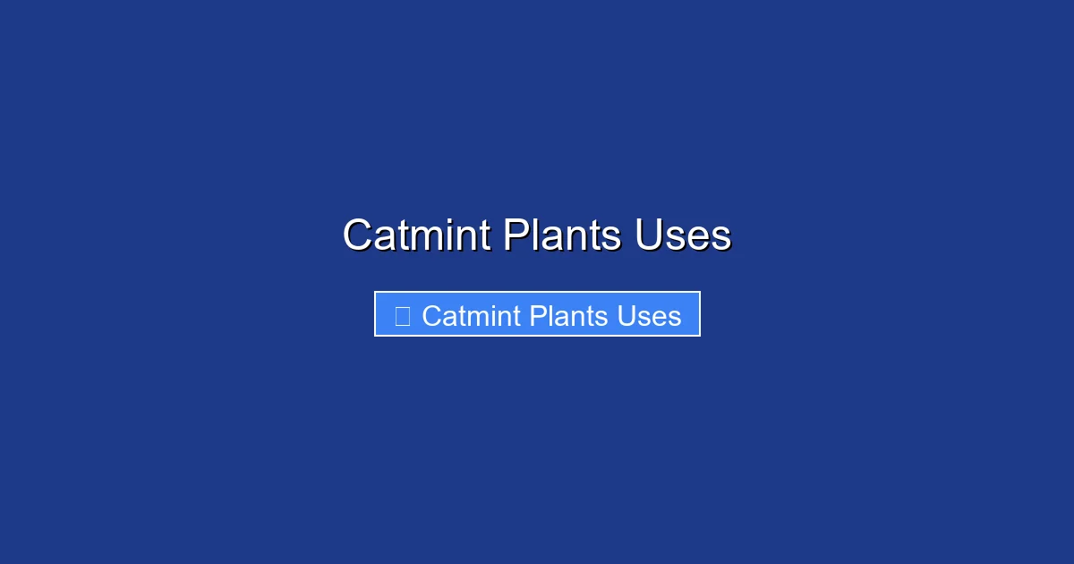 Catmint Plants Uses