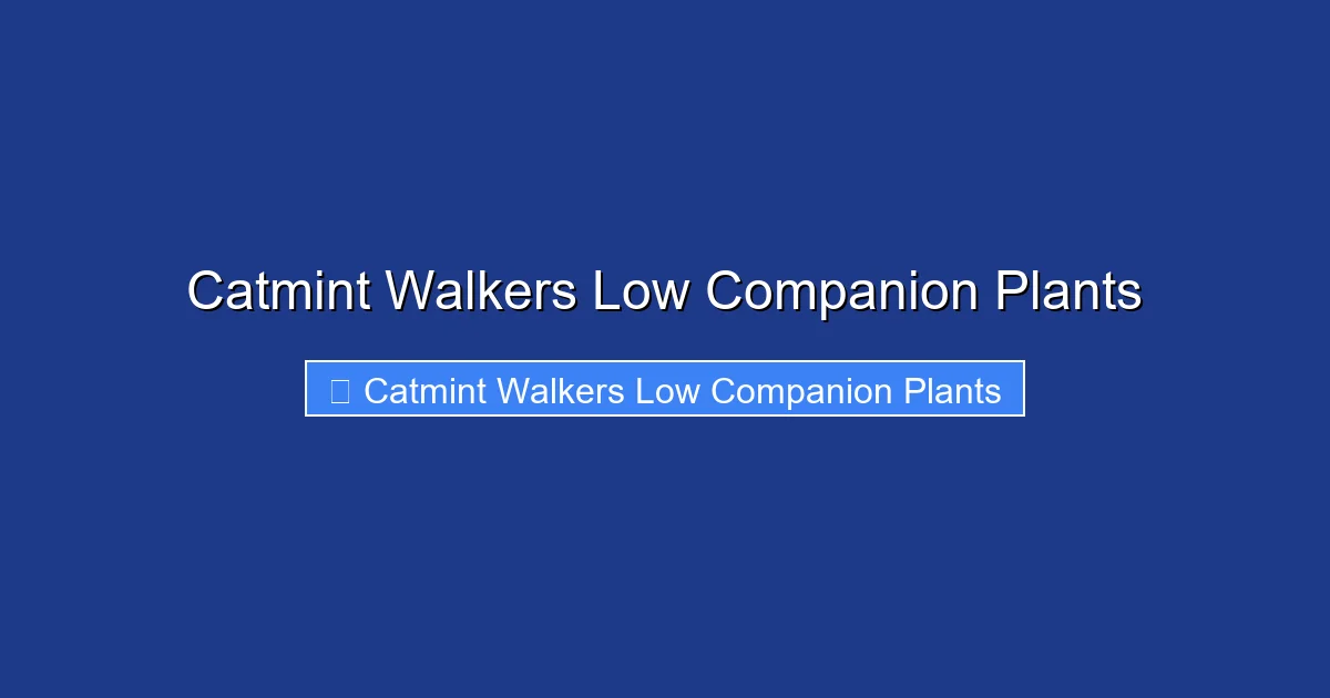 Catmint Walkers Low Companion Plants