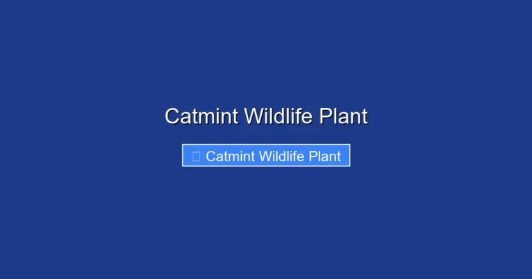 Catmint Wildlife Plant