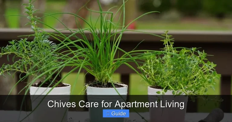 Chives Care for Apartment Living