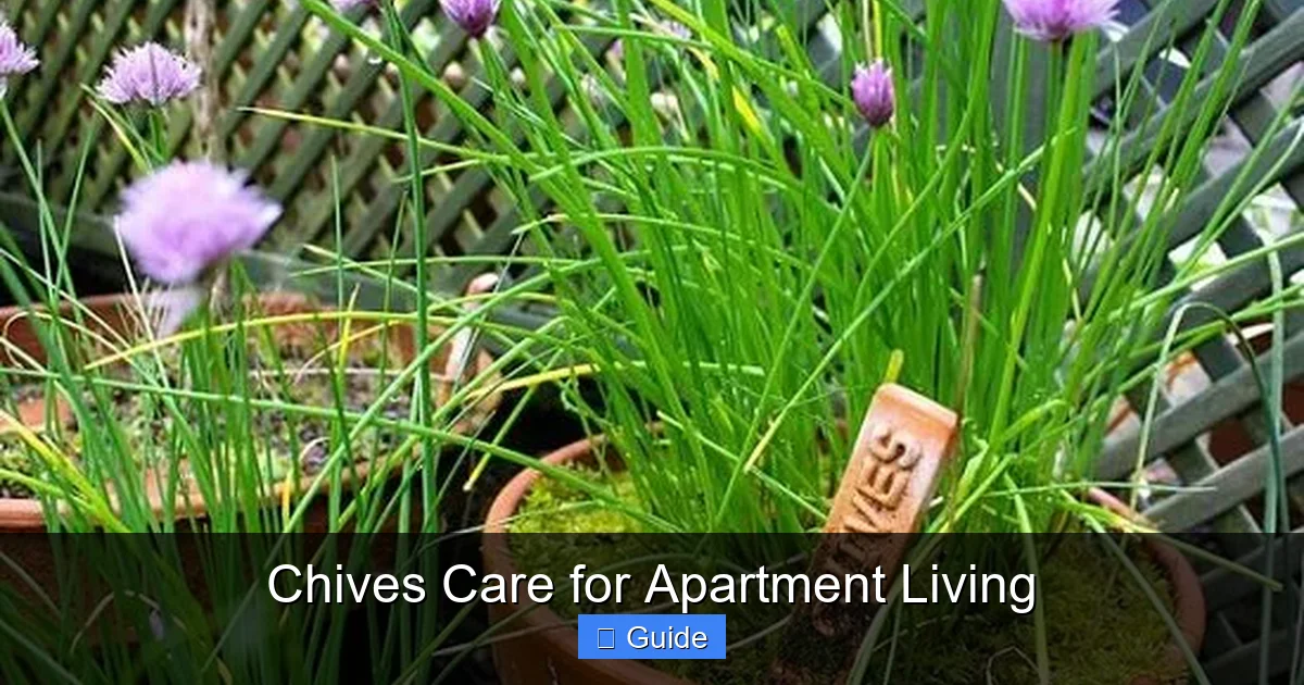 Chives Care for Apartment Living