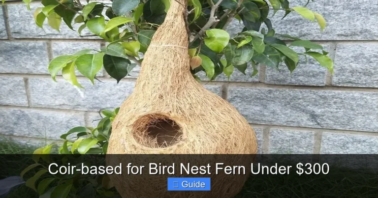 Coir-based for Bird Nest Fern Under $300